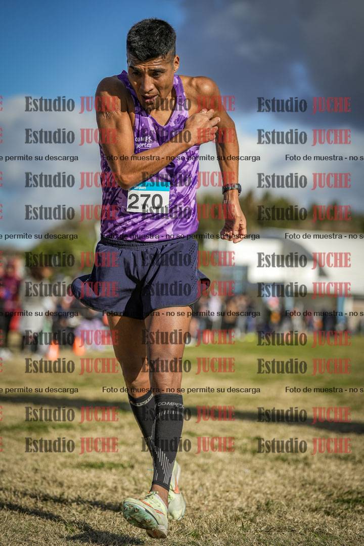 Fotos de las llegadas