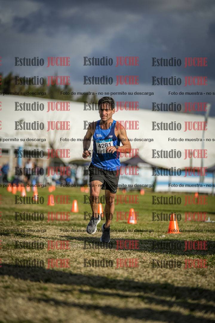 Fotos de las llegadas
