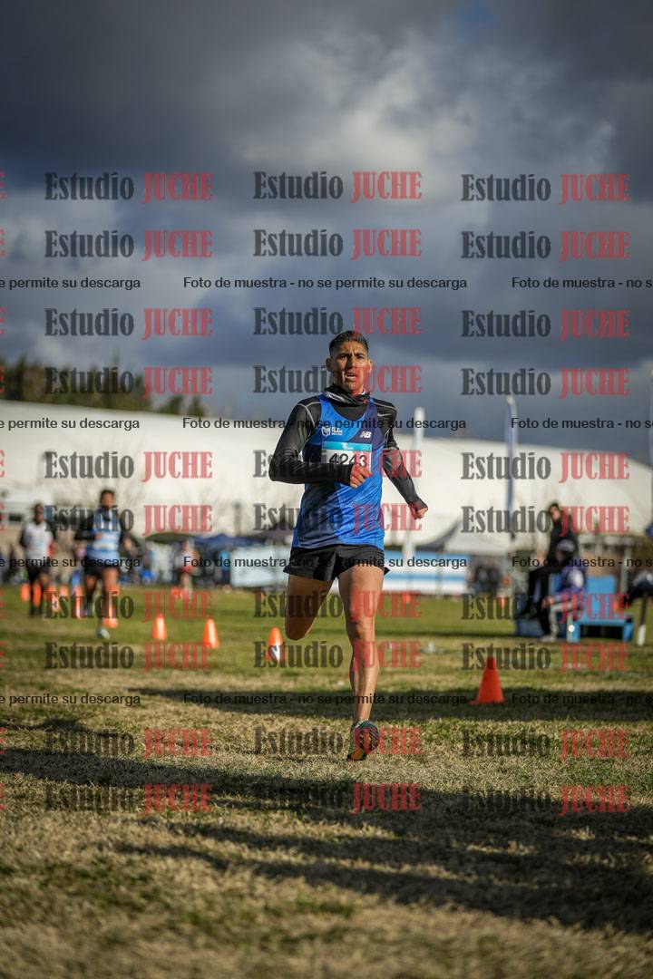 Fotos de las llegadas