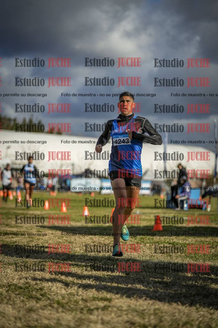 Fotos de las llegadas