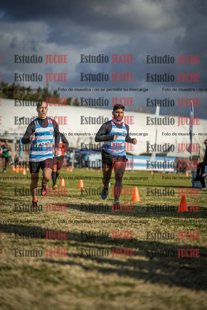 Fotos de las llegadas