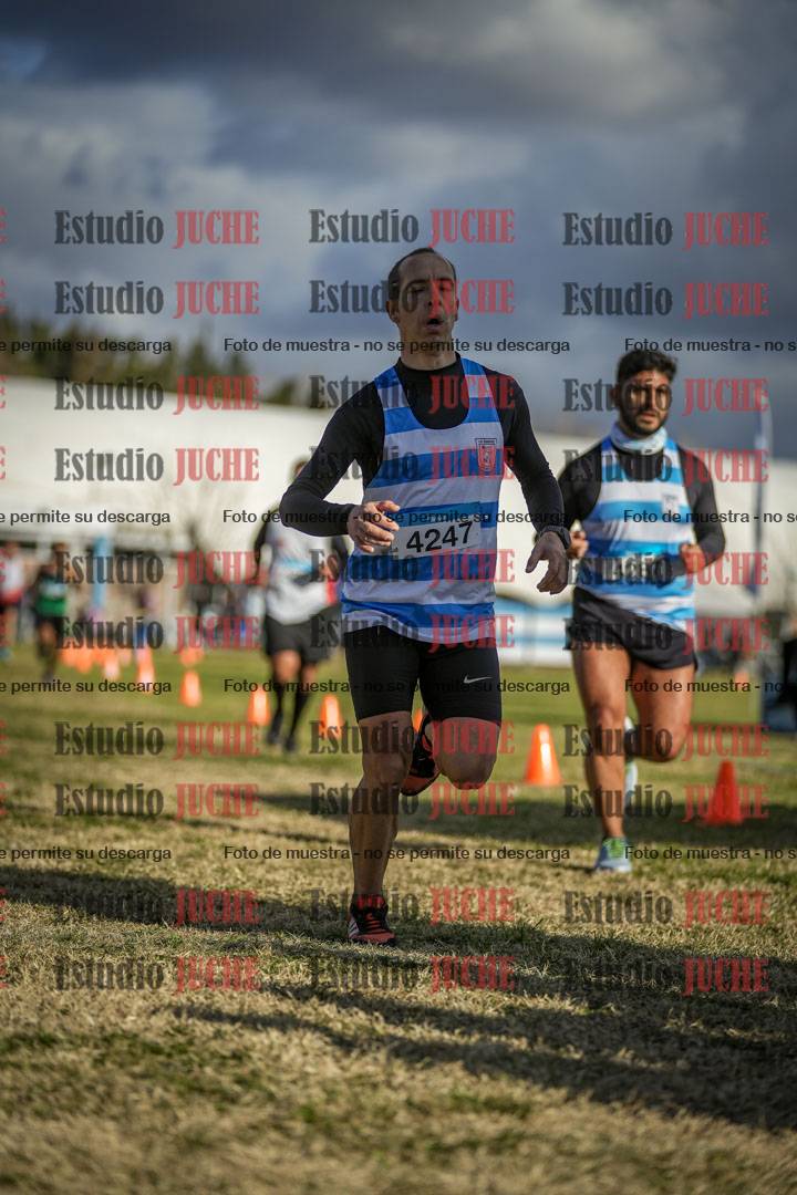 Fotos de las llegadas