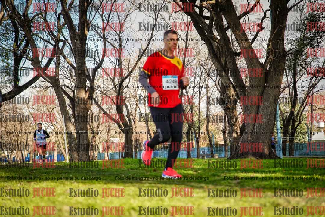 Fotos en el circuito