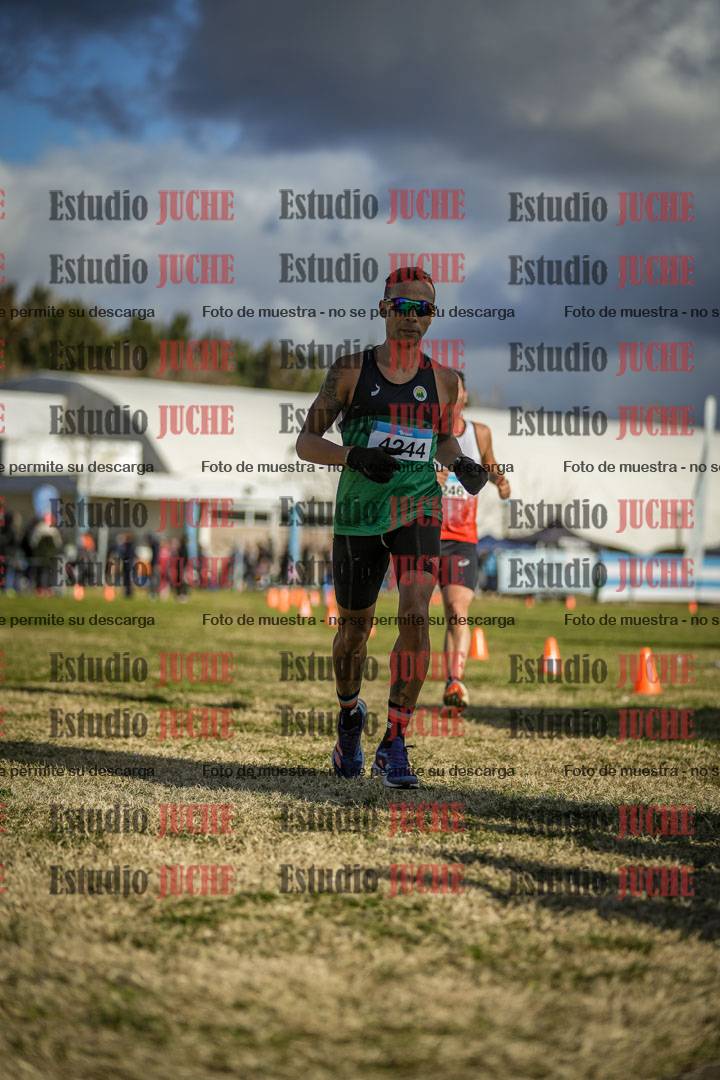 Fotos de las llegadas