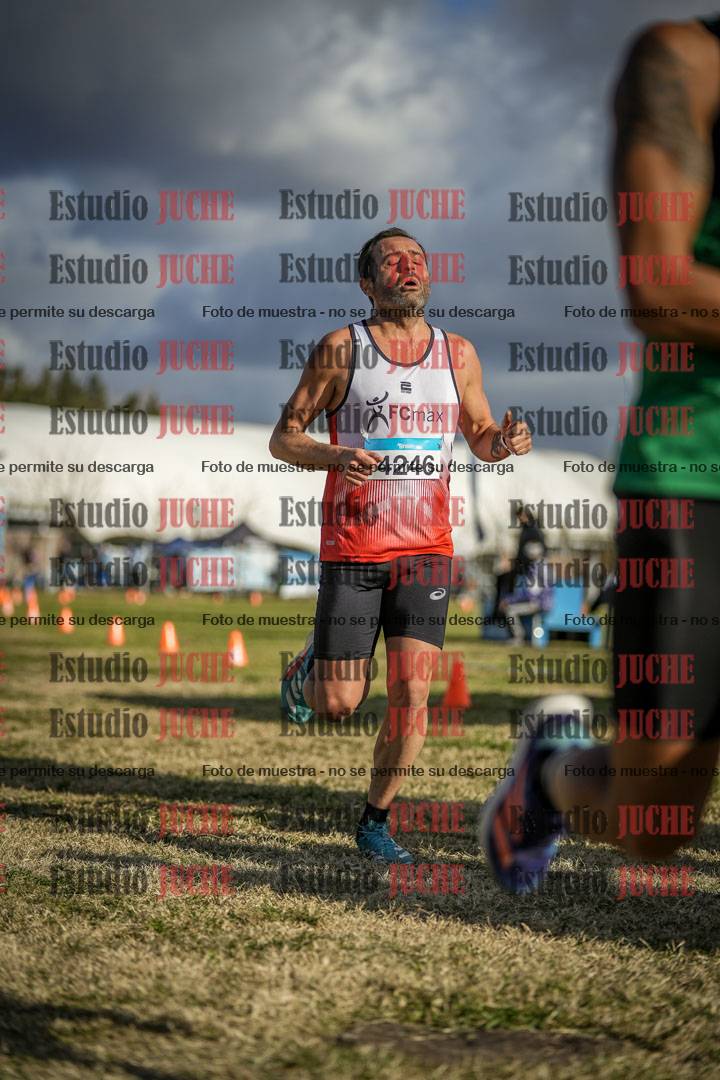 Fotos de las llegadas