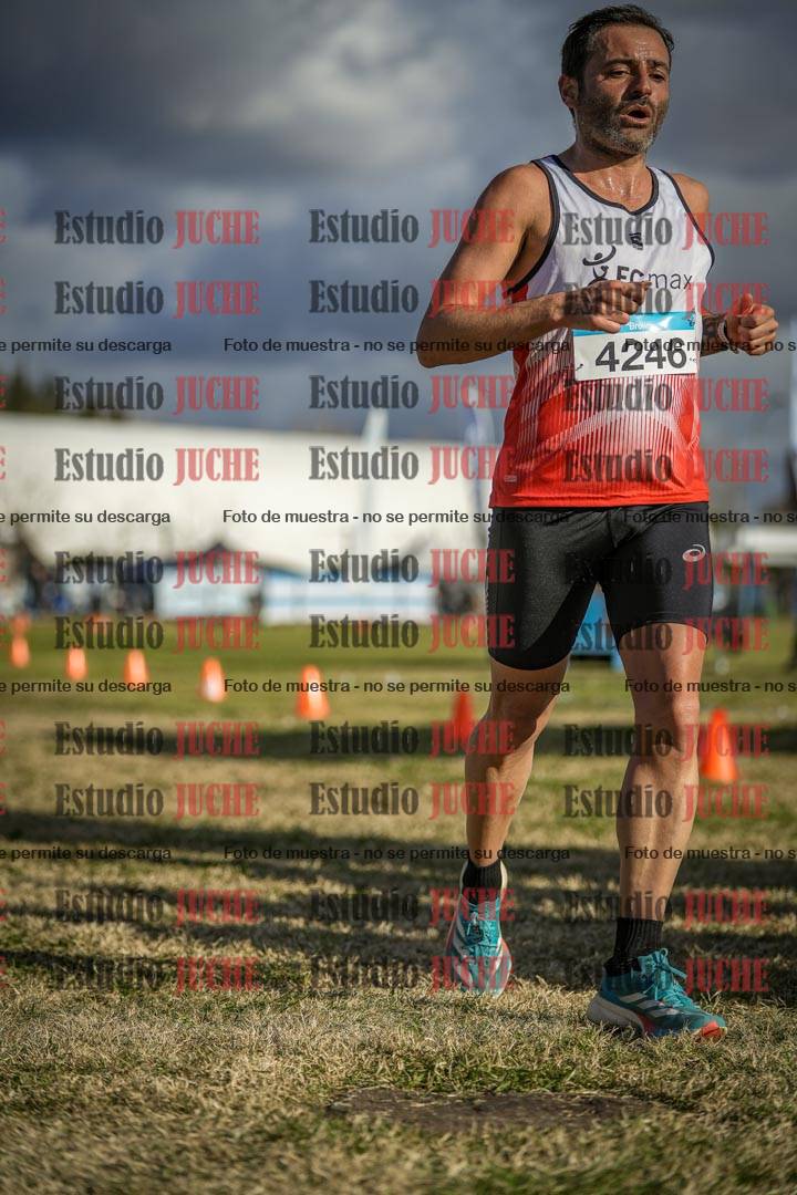 Fotos de las llegadas