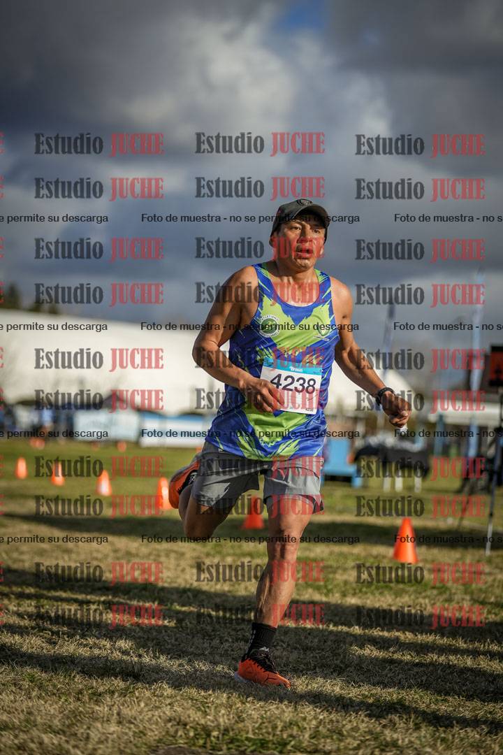 Fotos de las llegadas