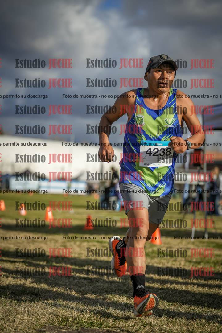 Fotos de las llegadas