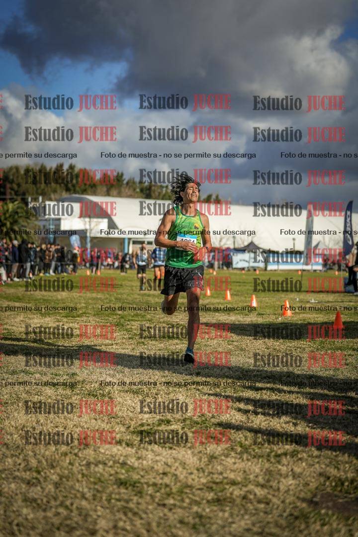 Fotos de las llegadas