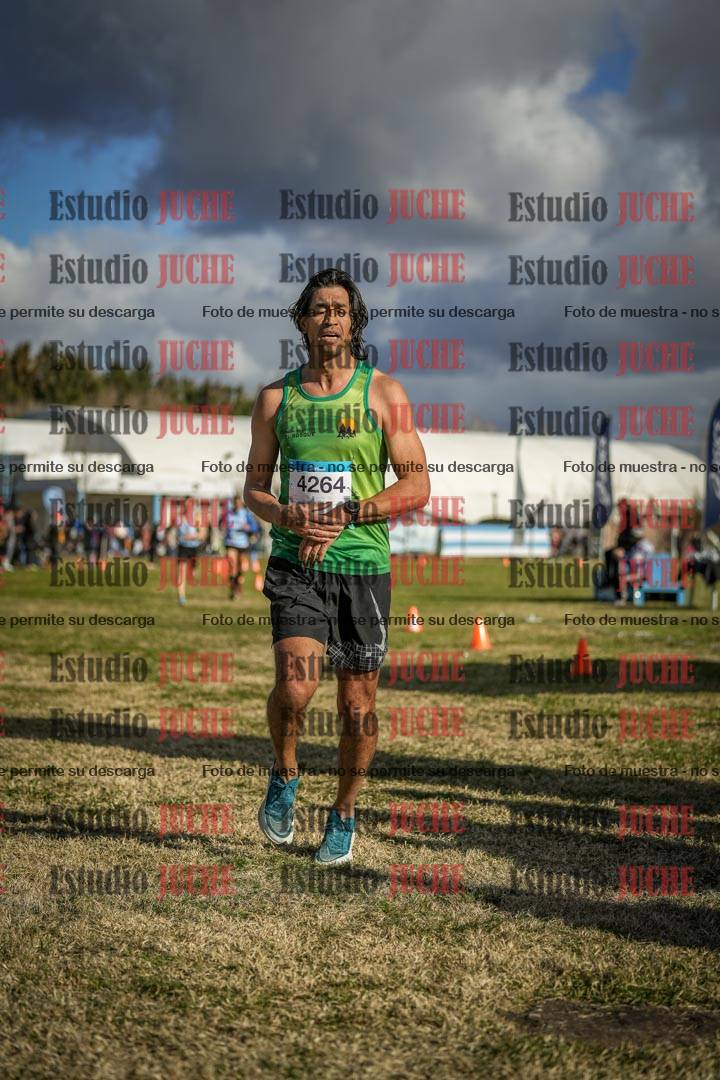 Fotos de las llegadas