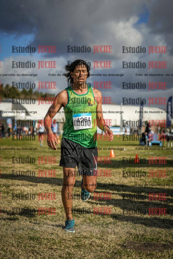Fotos de las llegadas