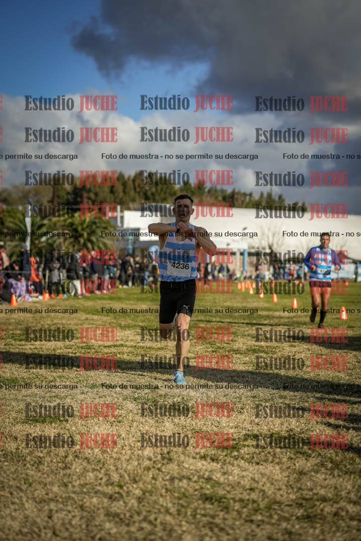 Fotos de las llegadas