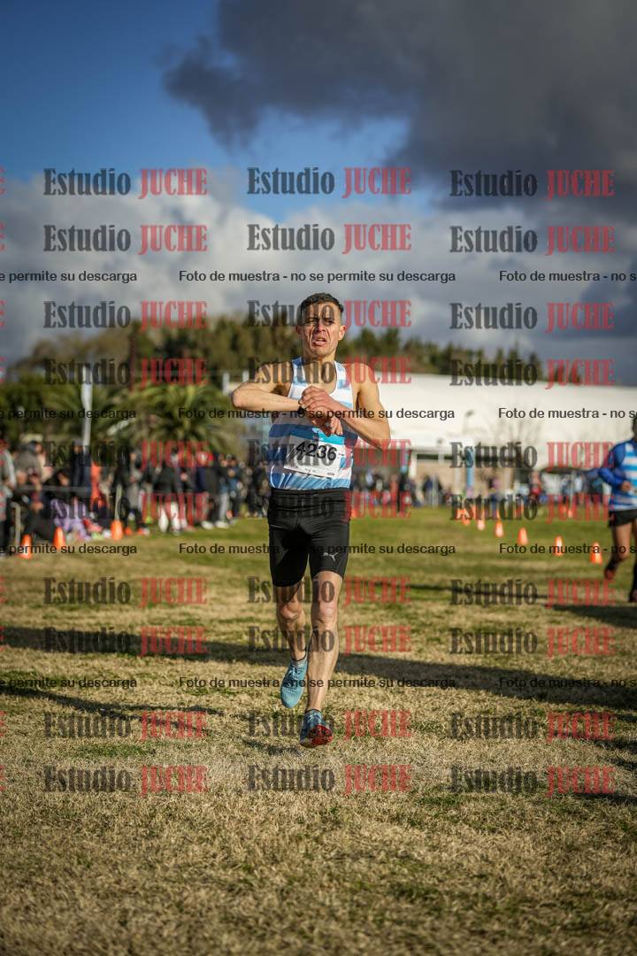 Fotos de las llegadas