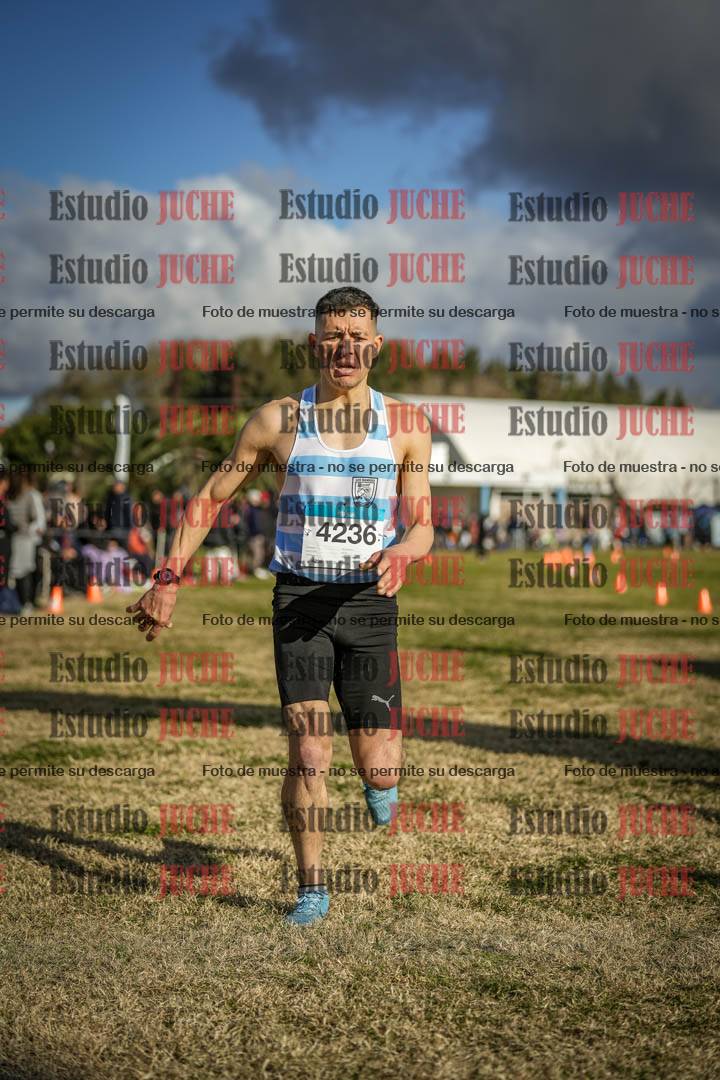 Fotos de las llegadas