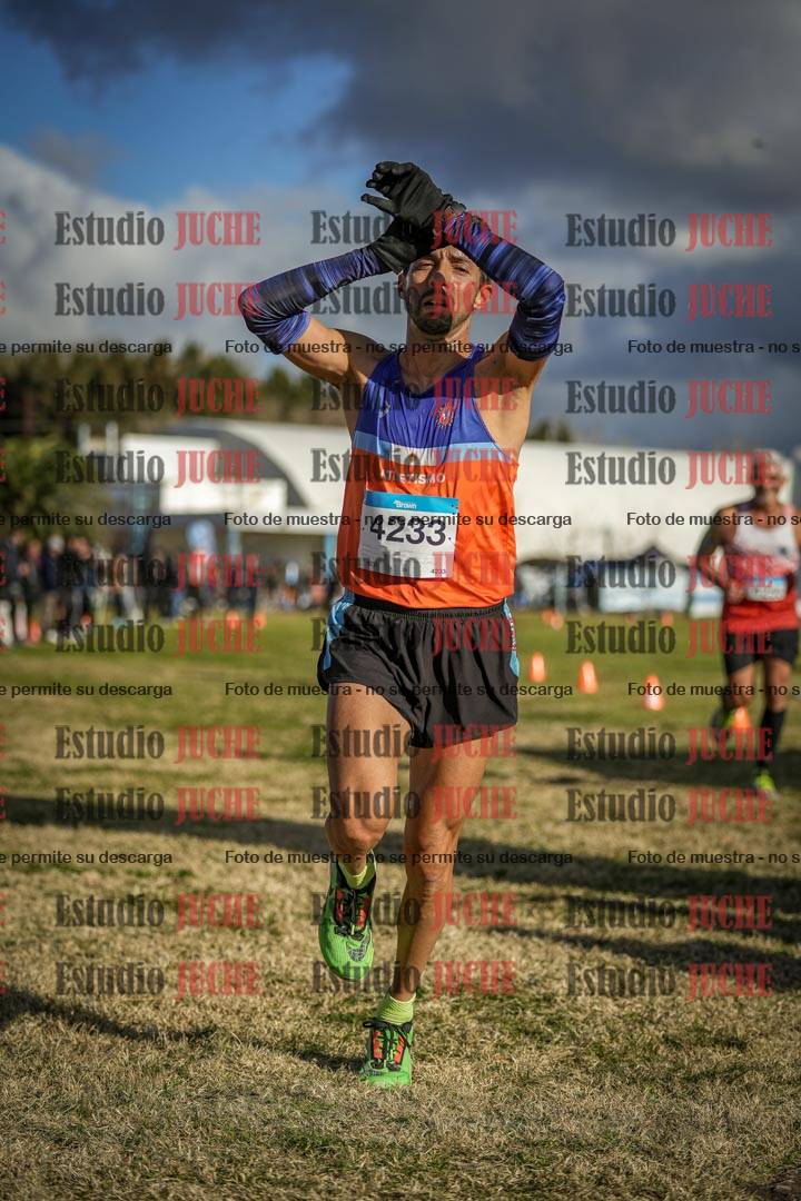 Fotos de las llegadas