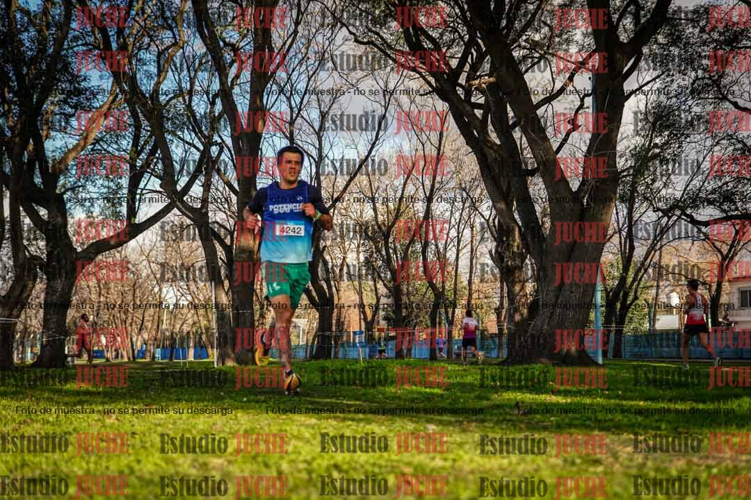 Fotos en el circuito