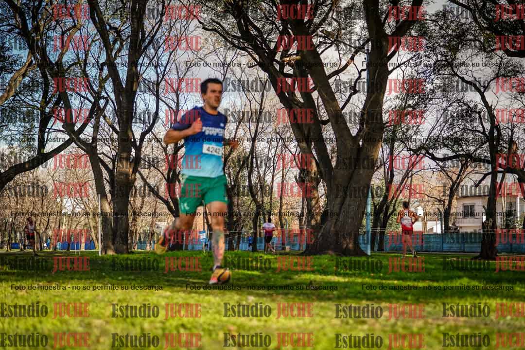 Fotos en el circuito