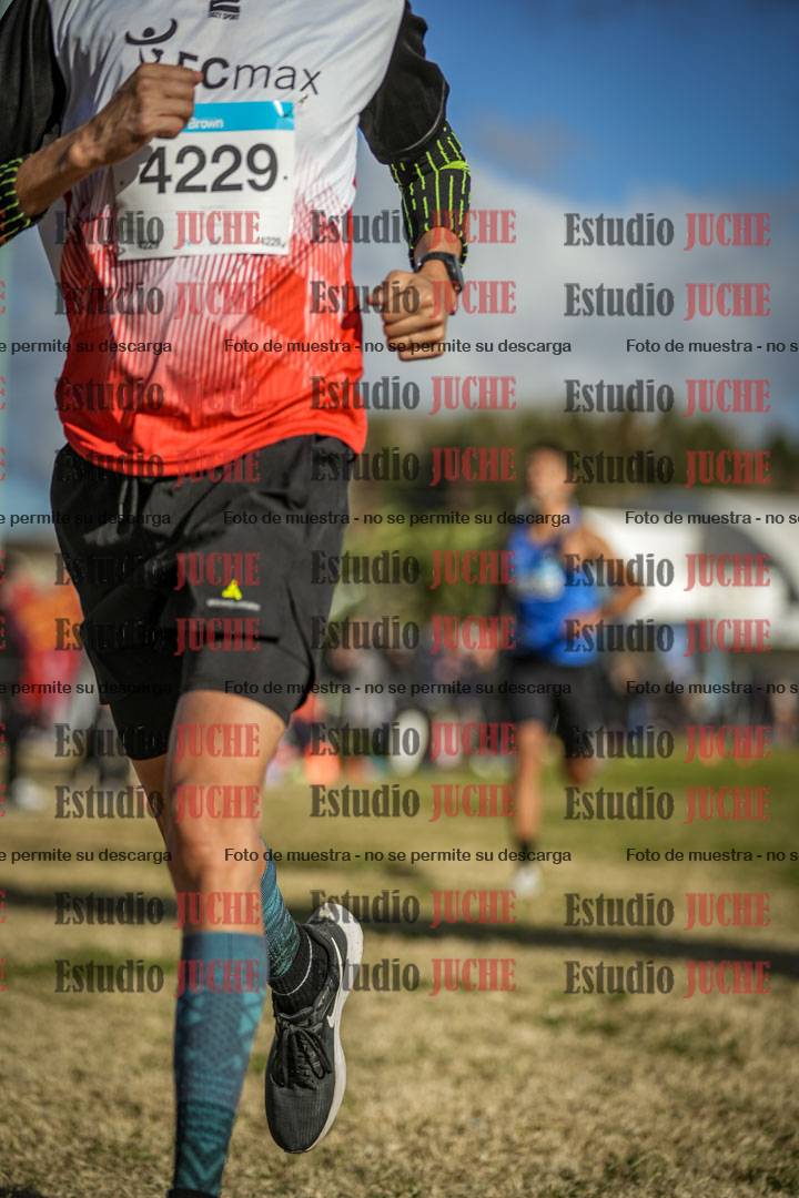 Fotos de las llegadas