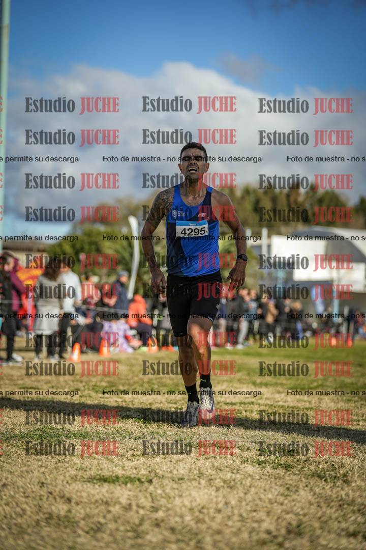 Fotos de las llegadas