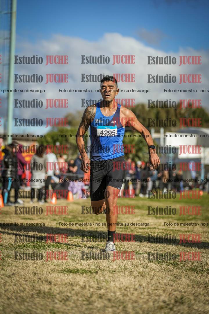 Fotos de las llegadas