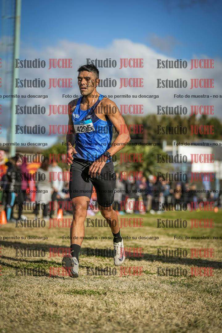 Fotos de las llegadas