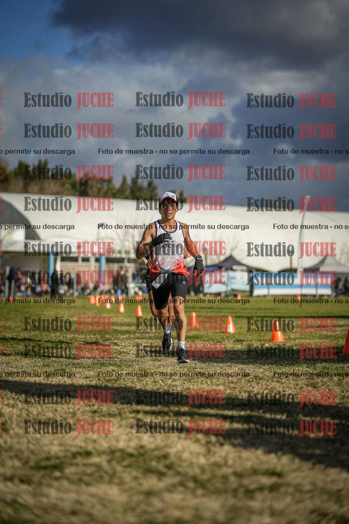 Fotos de las llegadas