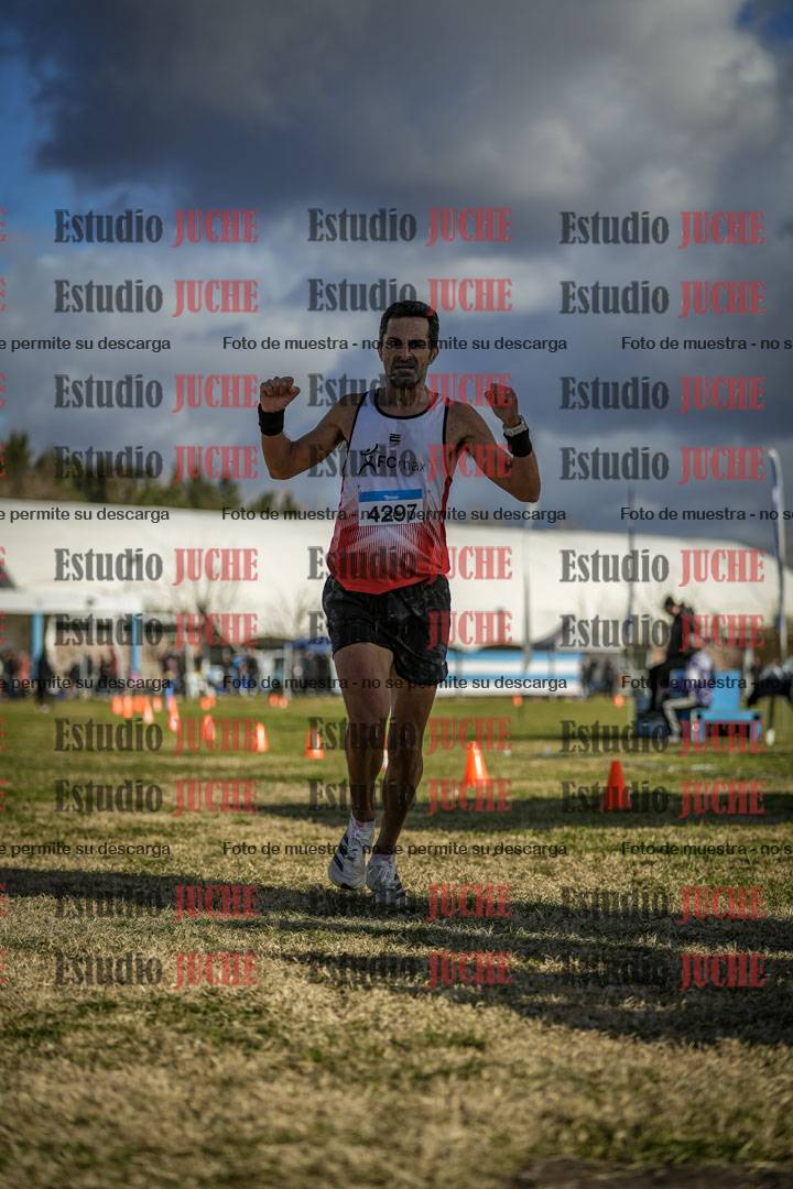 Fotos de las llegadas