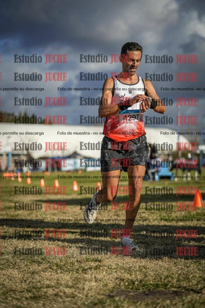 Fotos de las llegadas