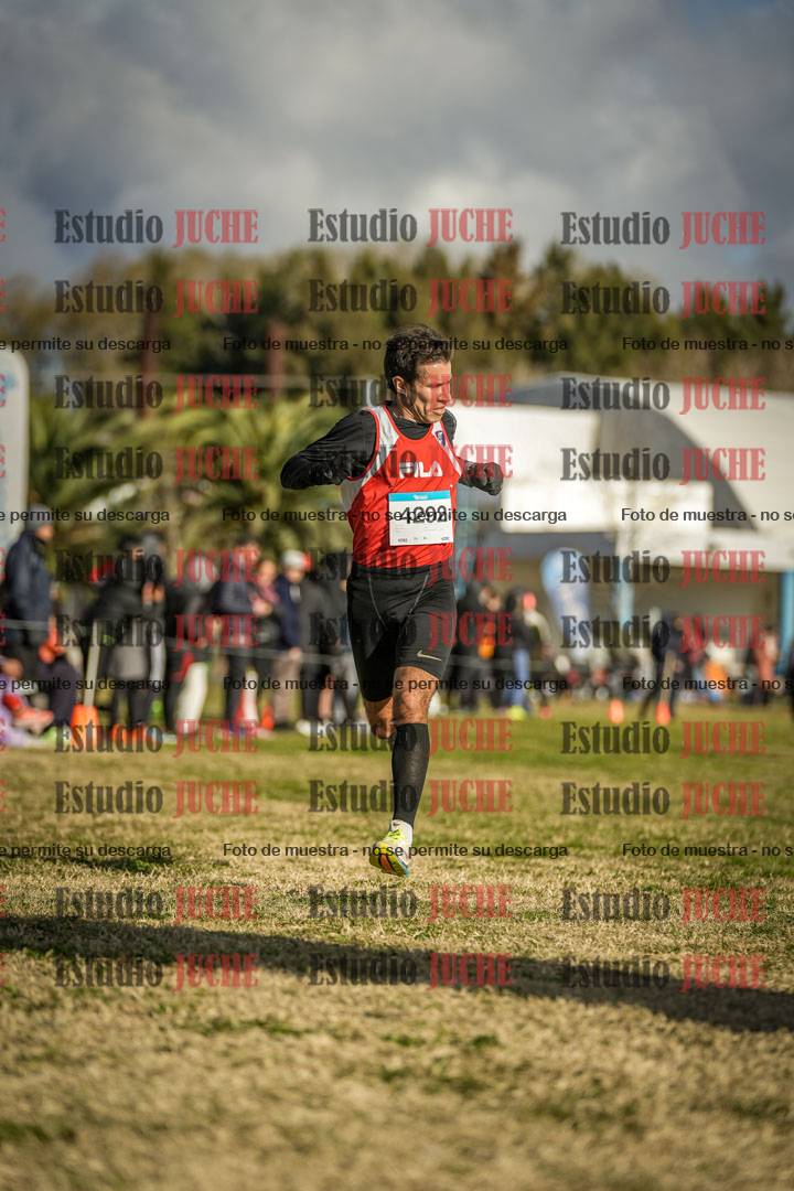 Fotos de las llegadas
