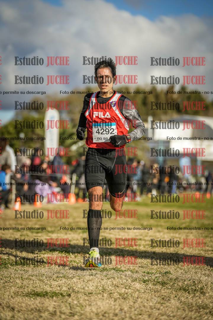 Fotos de las llegadas
