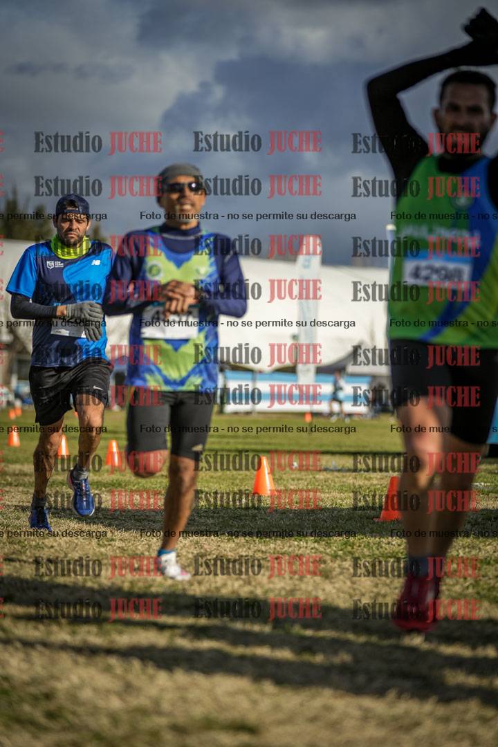 Fotos de las llegadas