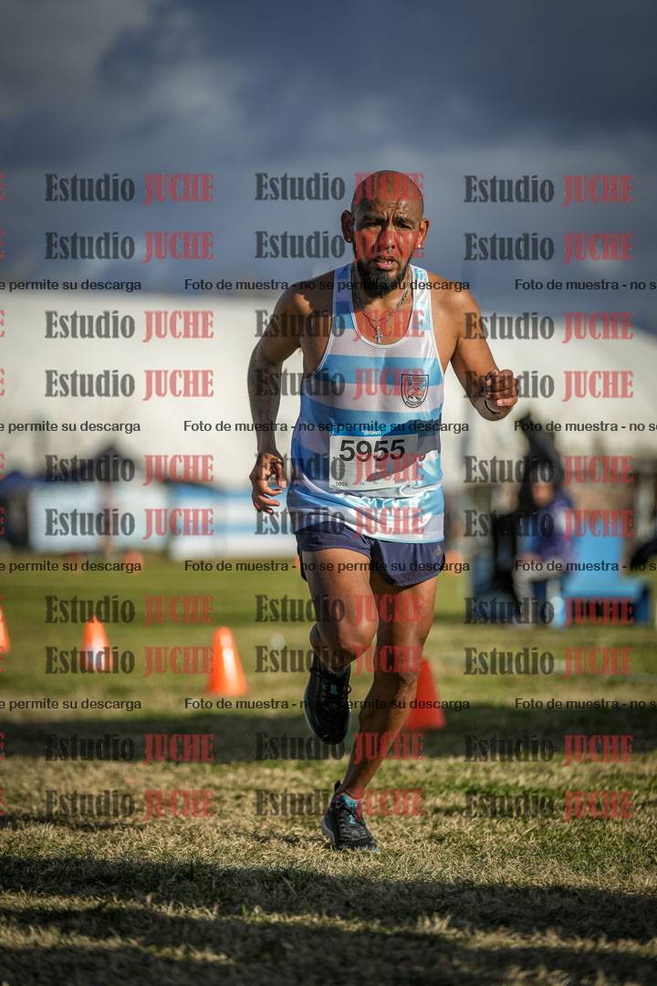Fotos de las llegadas