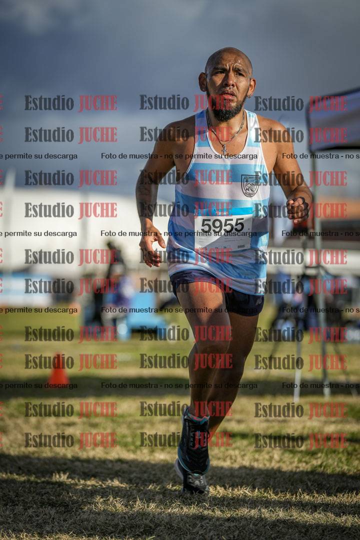 Fotos de las llegadas